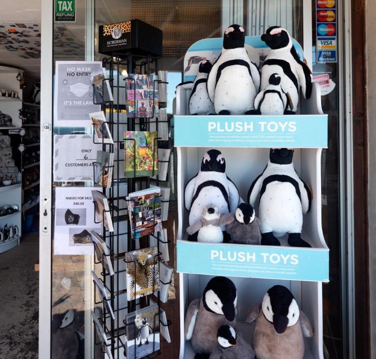 Photo of Others in Simon's Town