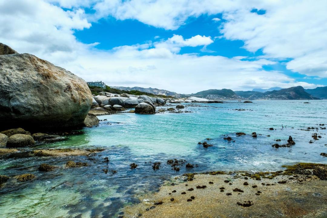 Photo of Others in Simon's Town