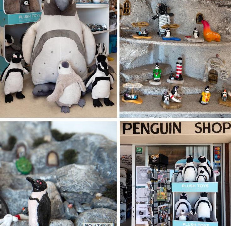 Photo of Others in Simon's Town