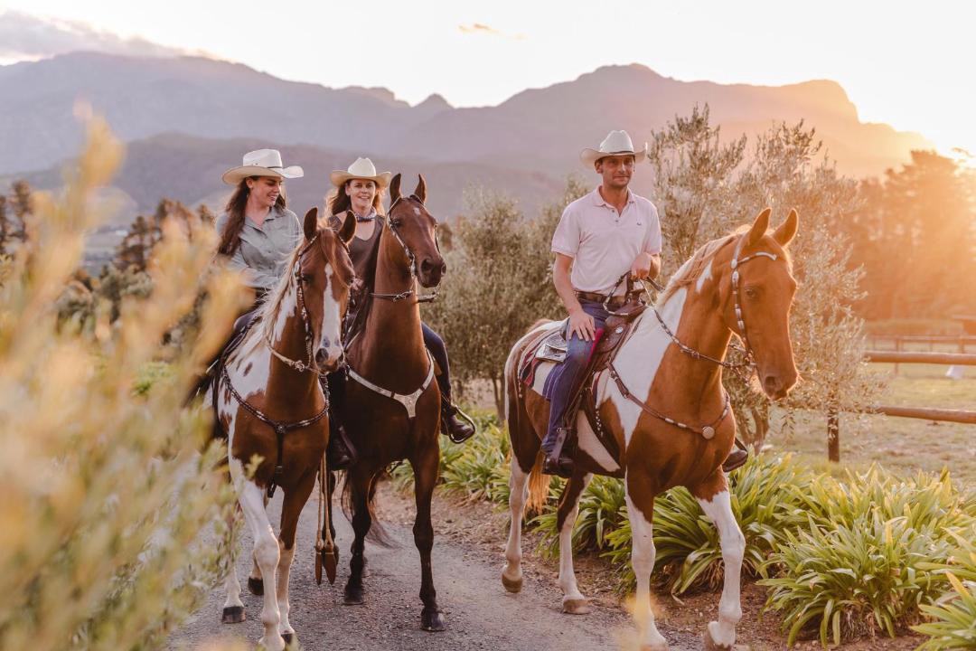 Photo of Others in Franschhoek