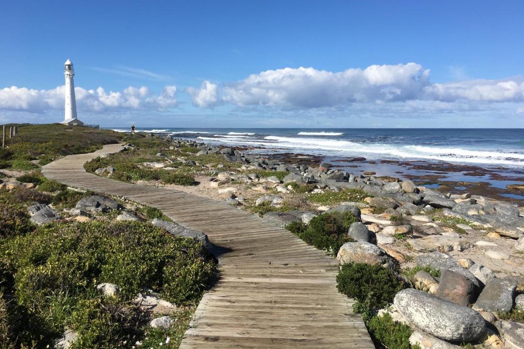 Photo of Others in Kommetjie