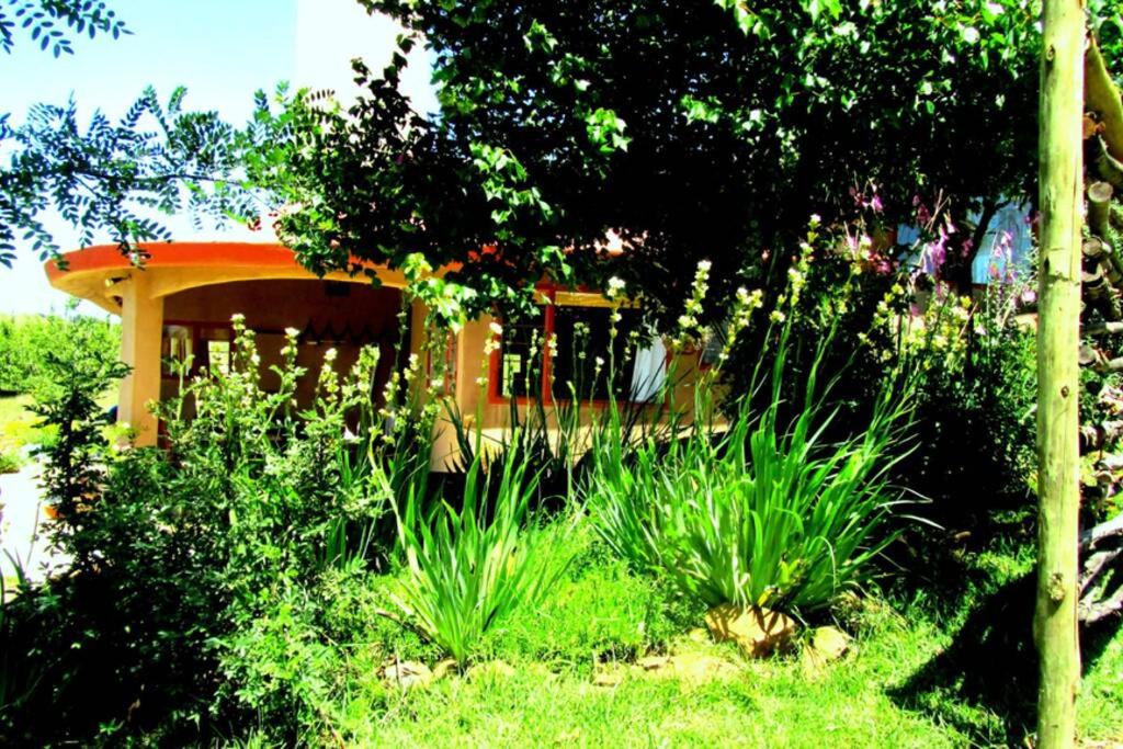 Photo of Others in Underberg
