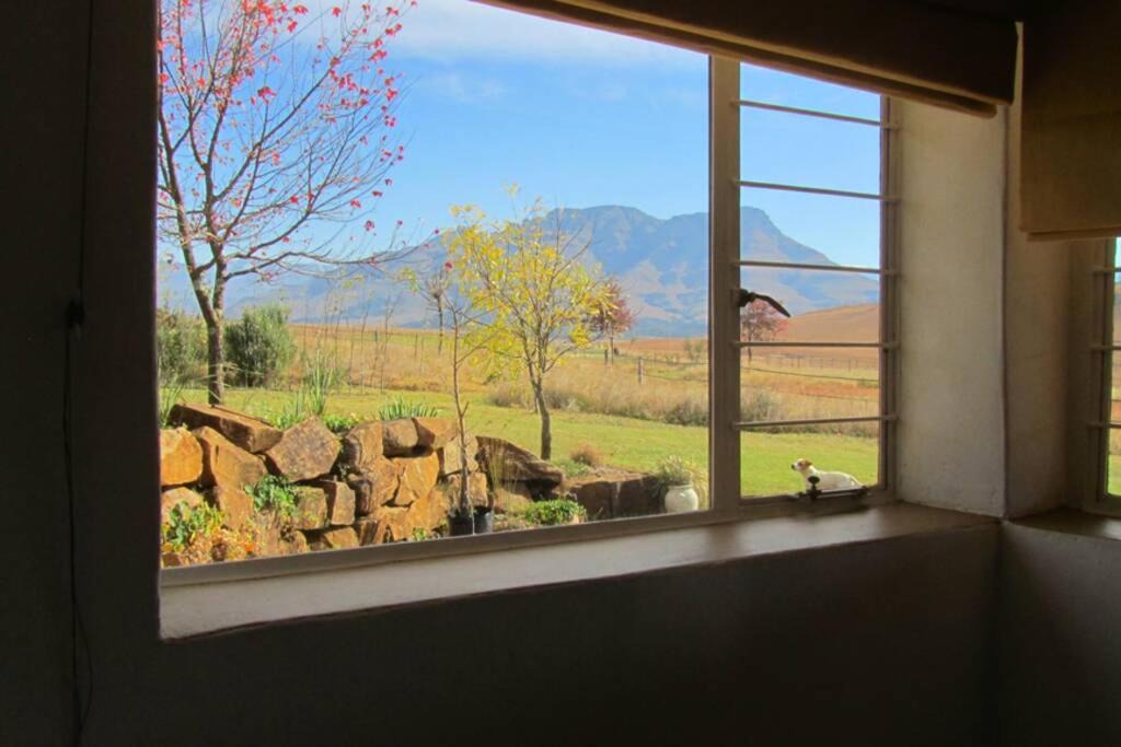 Photo of Others in Underberg