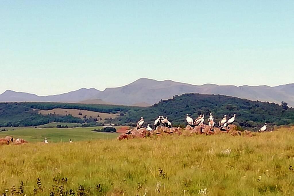 Photo of Others in Underberg
