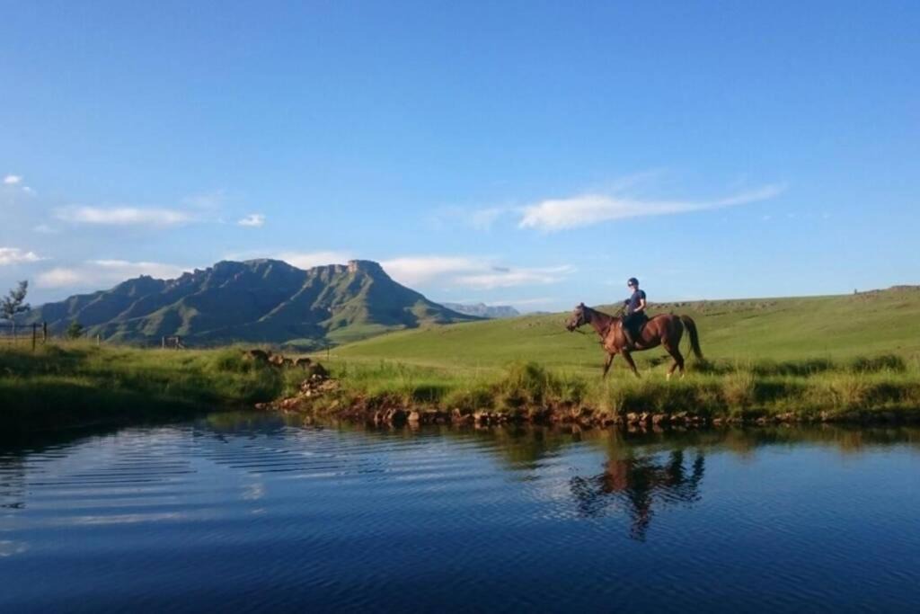 Photo of Others in Underberg