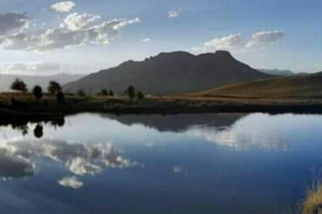 Photo of Others in Underberg
