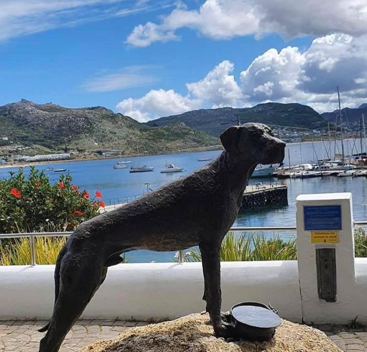 Photo of Others in Simon's Town