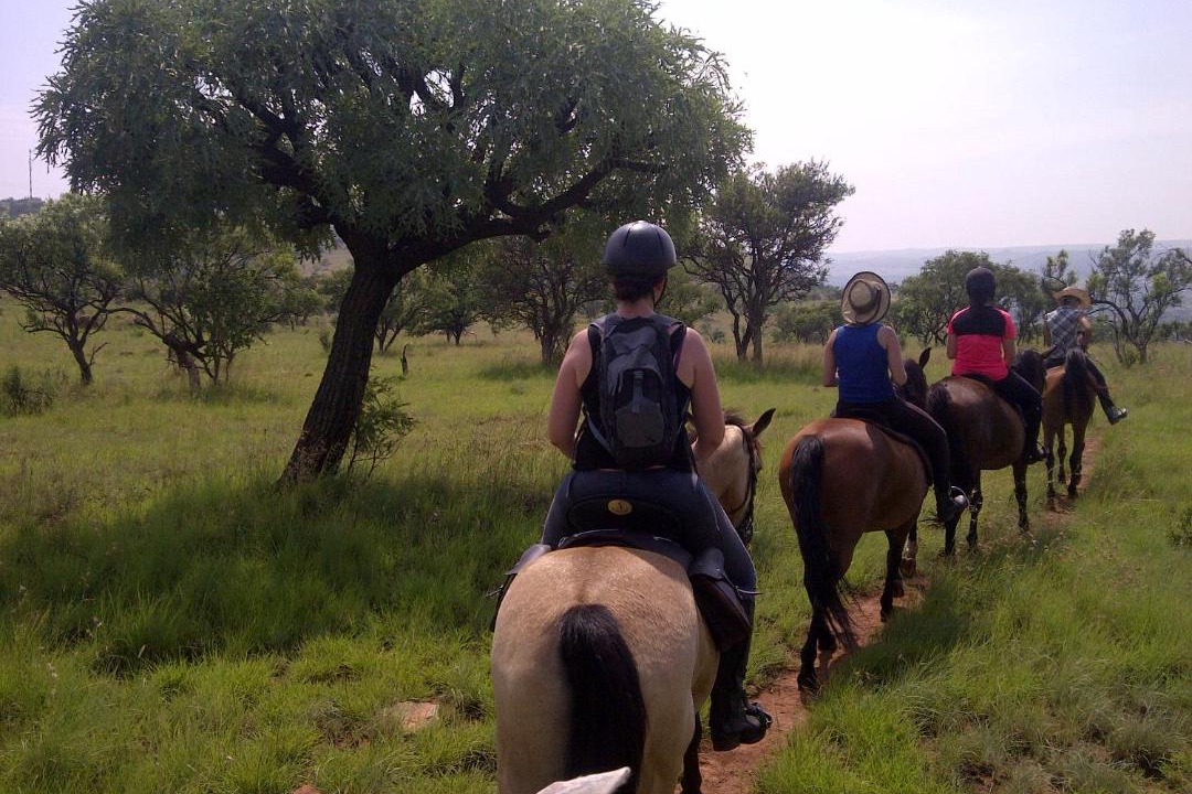 Photo of Others in Pretoria