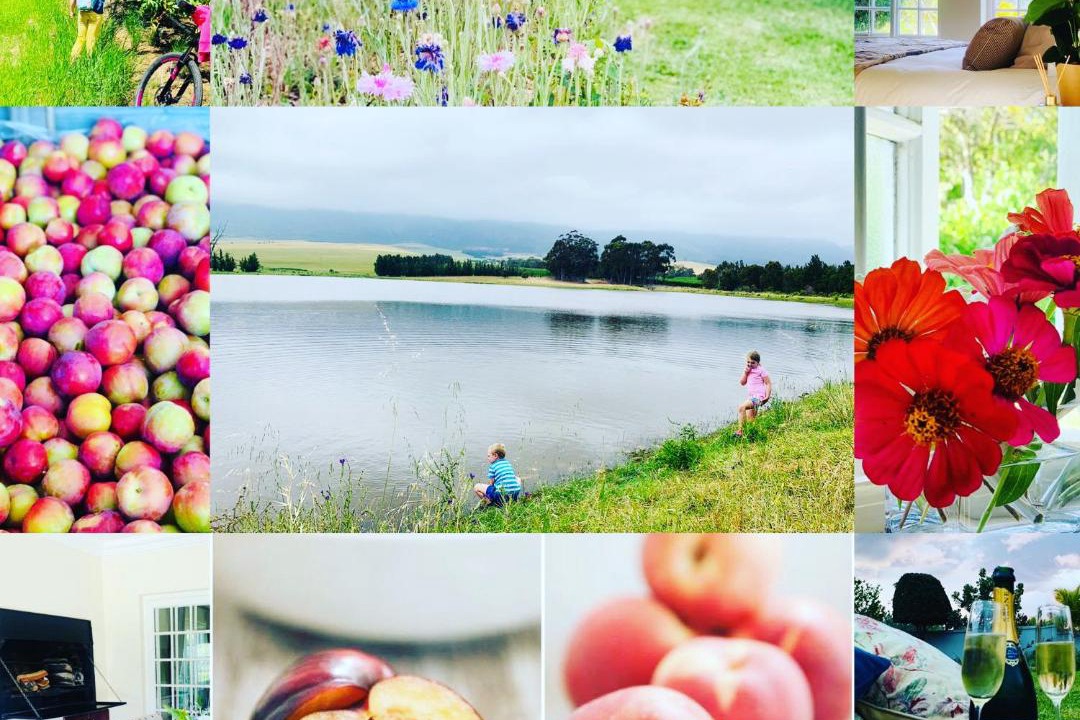 Photo of Others in Tulbagh