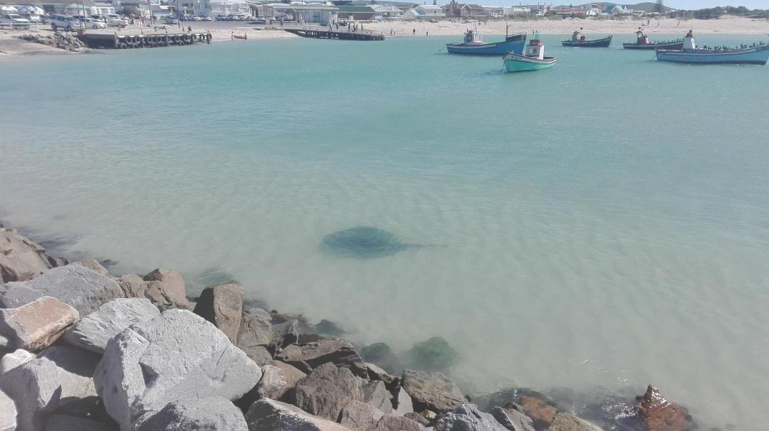 Photo of Others in L'Agulhas