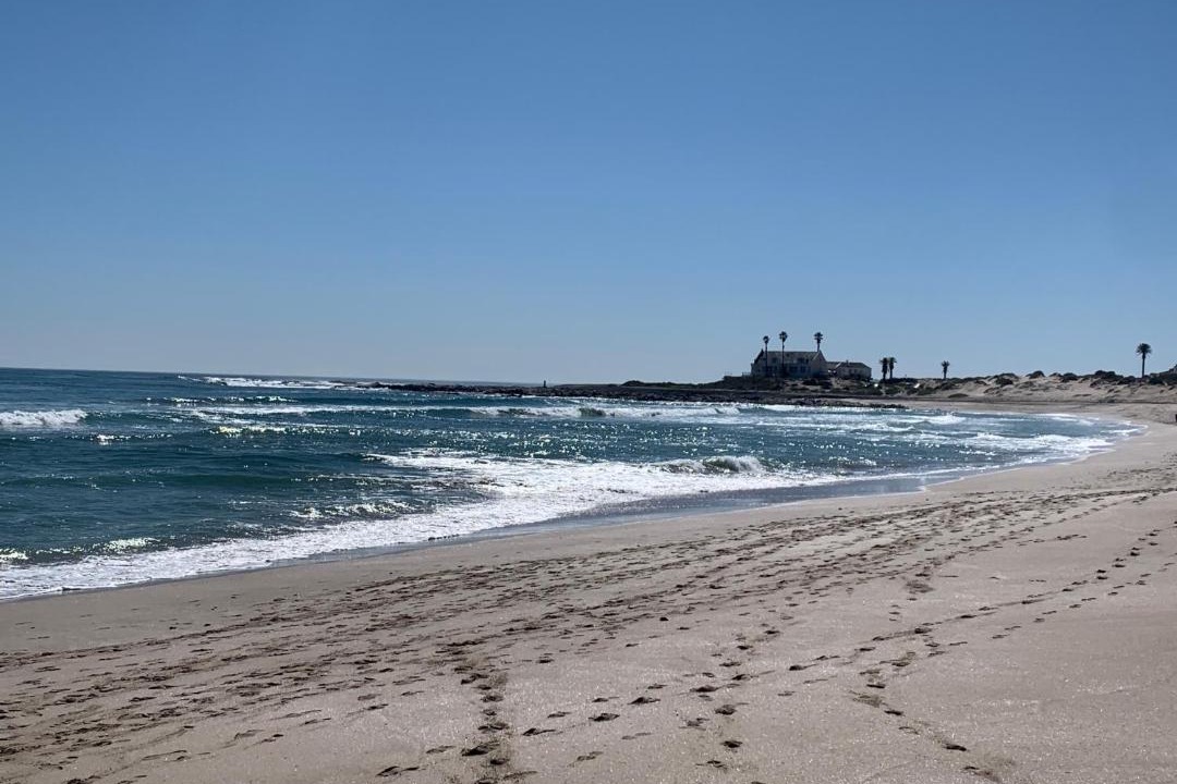 Photo of Others in Shelley Point