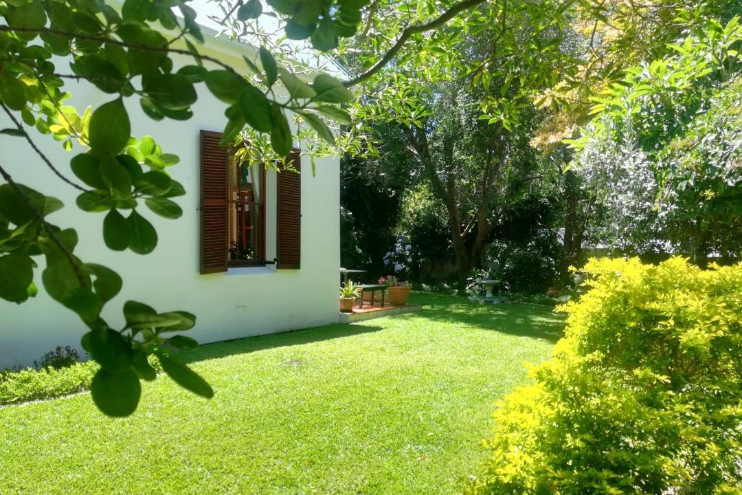 Photo of Others in Newlands