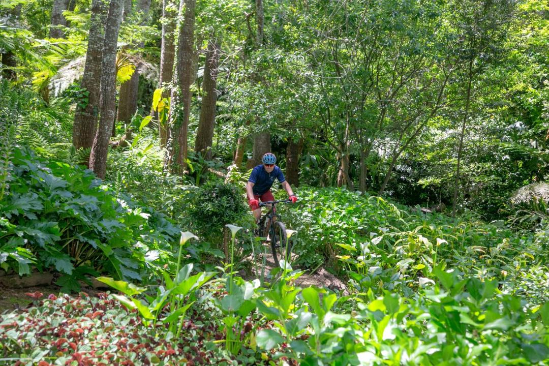 Photo of Others in Constantia