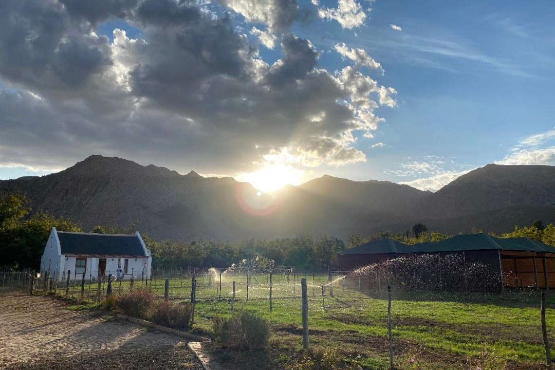 Photo of Others in Montagu