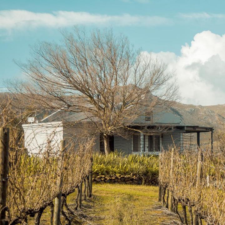 Photo of Others in Grabouw