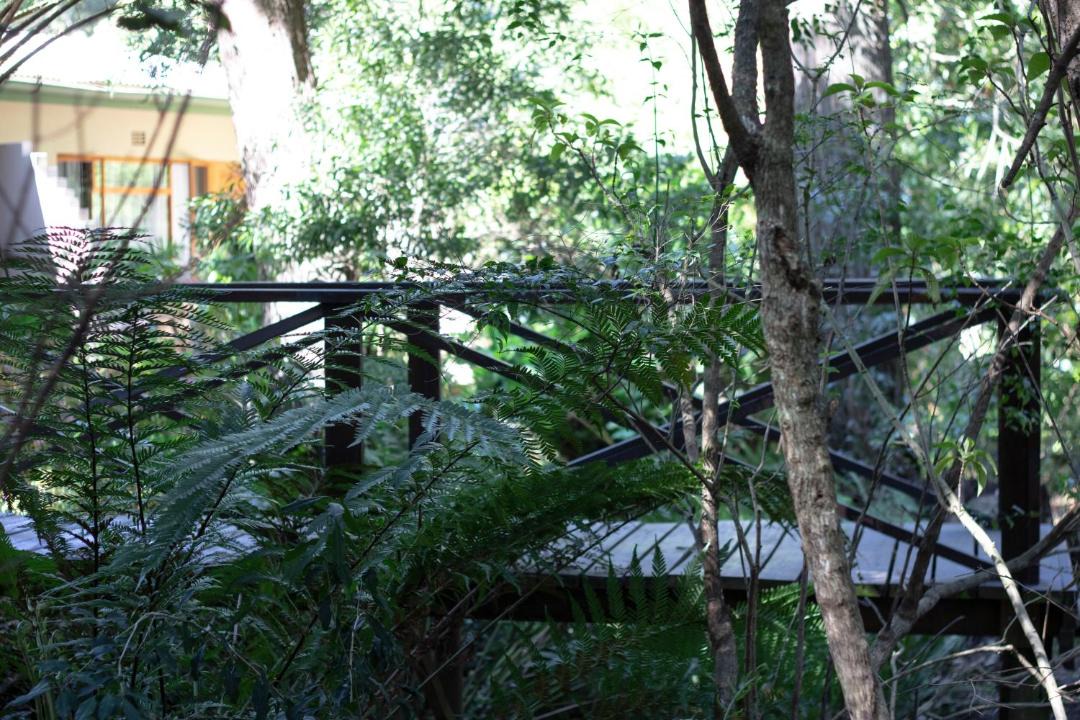 Photo of Others in Storms River