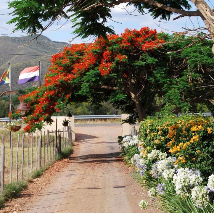 Photo of Others in Schoemanshoek