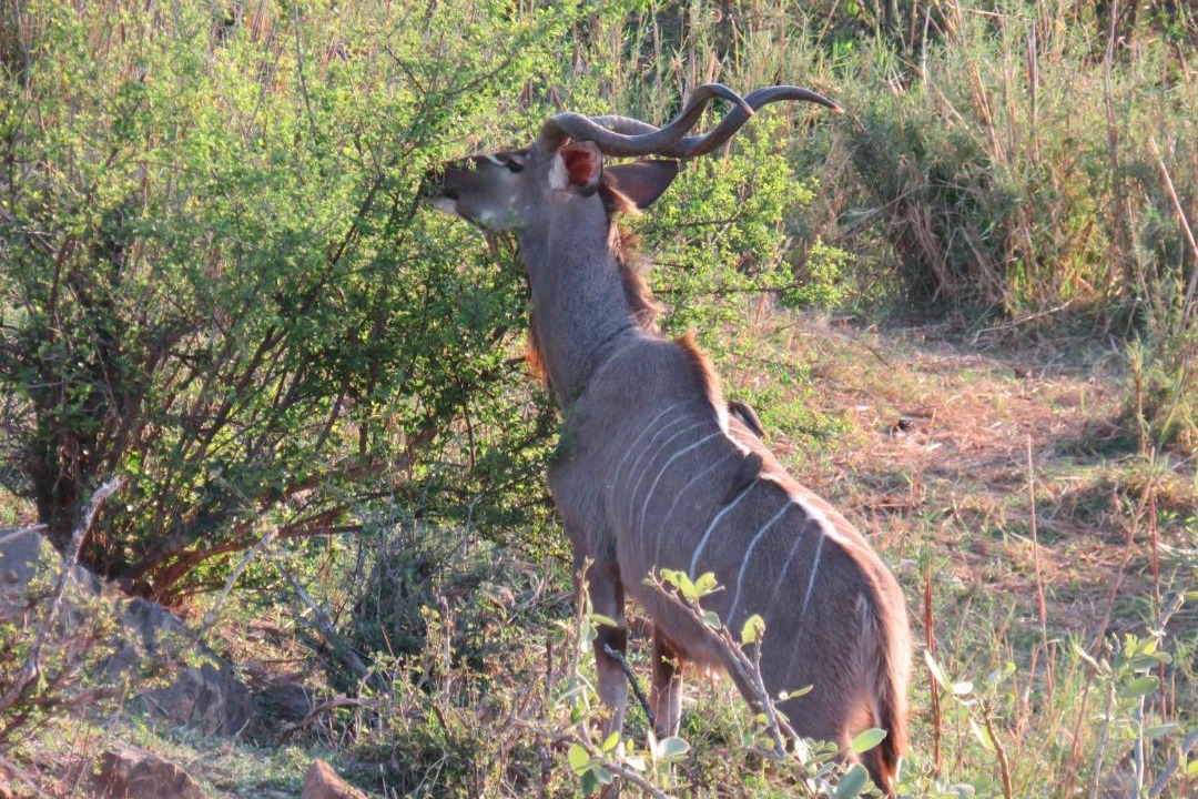 Photo of Others in Malelane