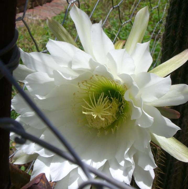 Photo of Others in Nieu-Bethesda