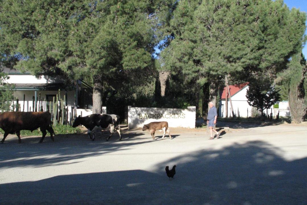 Photo of Others in Nieu-Bethesda
