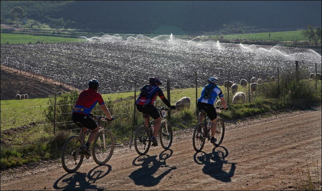 Photo of Others in Oudtshoorn