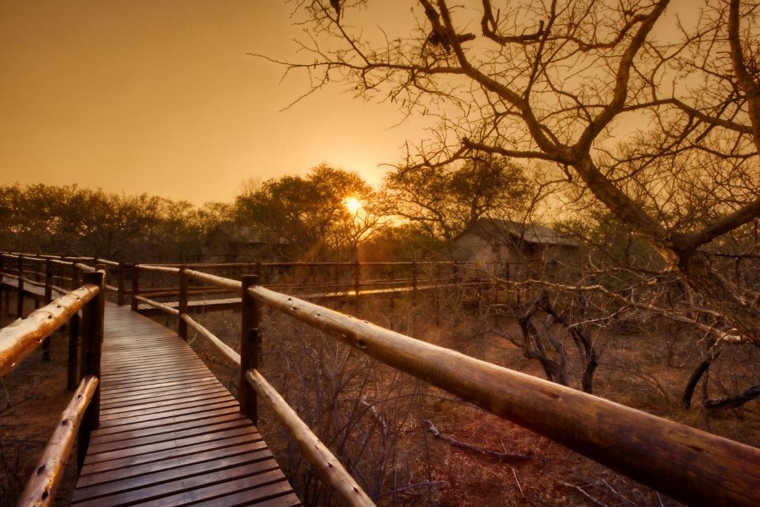 Photo of Others in Thorny Bush Game Reserve