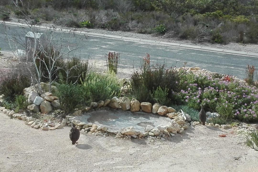 Photo of Others in L'Agulhas