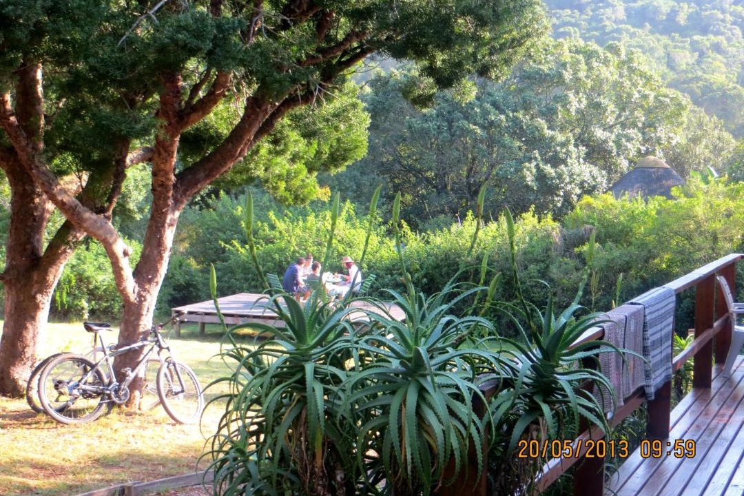 Photo of Others in Wilderness