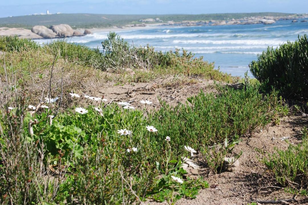 Photo of Others in Paternoster