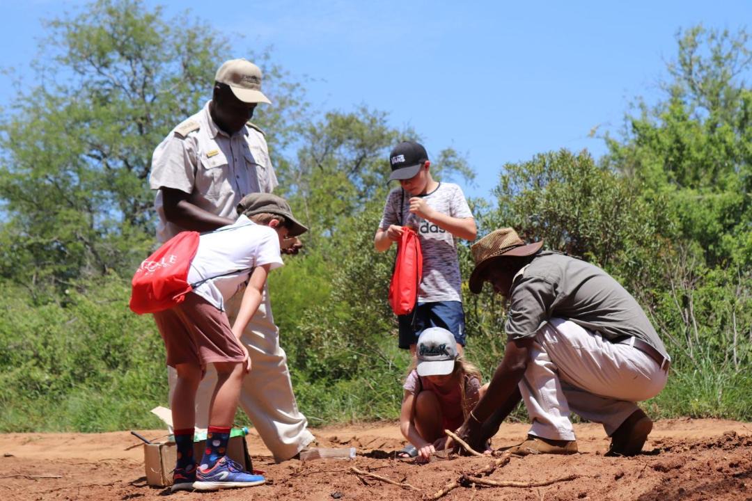 Photo of Others in Hoedspruit