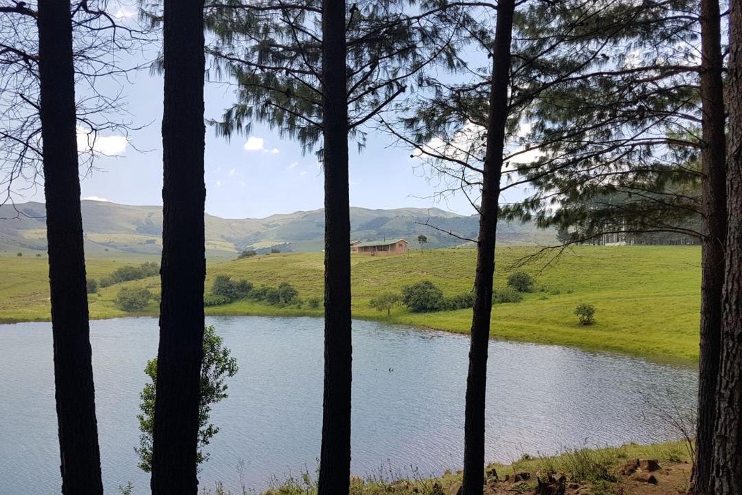 Photo of Others in Emadlangeni
