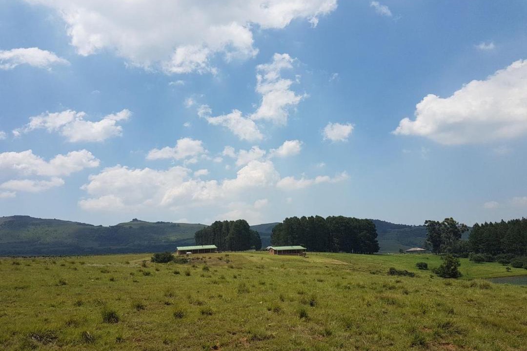 Photo of Others in Emadlangeni