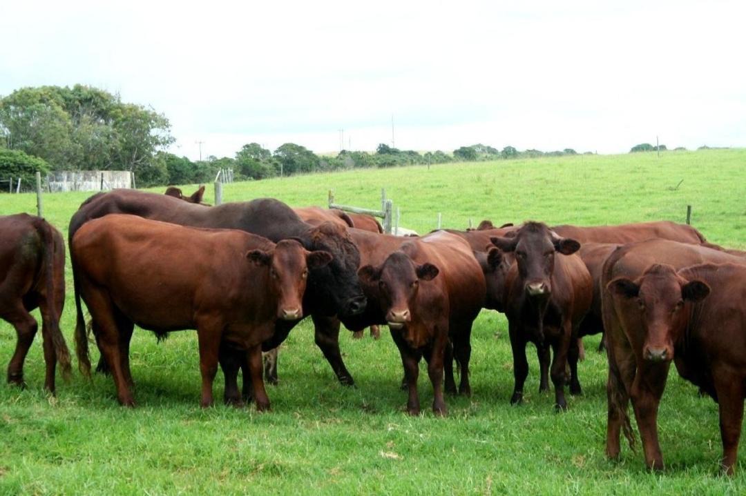 Photo of Others in Haga Haga