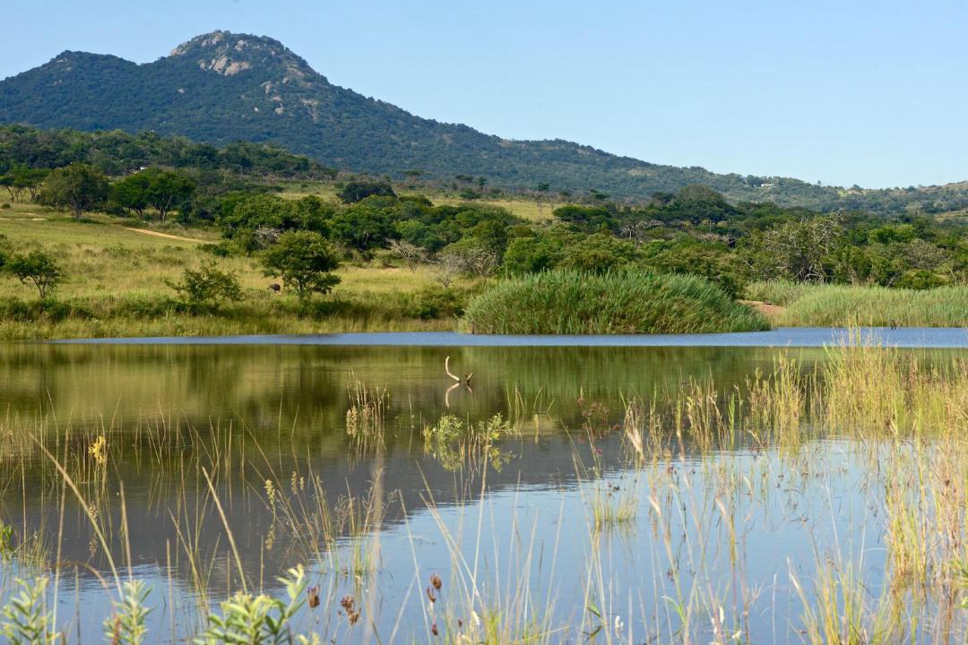 Photo of Others in Nelspruit