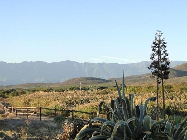 Photo of Others in Robertson Wine Valley