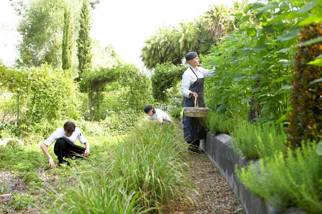 Photo of Others in Constantia