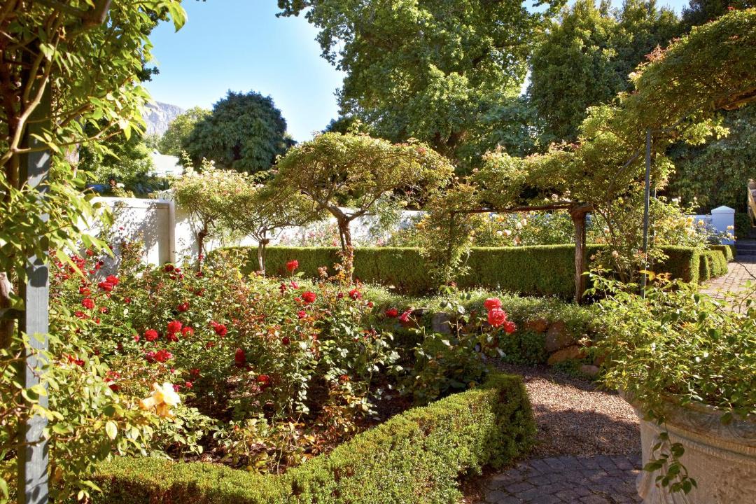 Photo of Others in Constantia