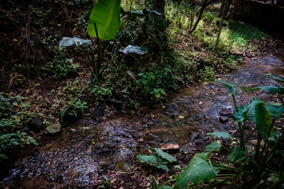 Photo of Others in Wilderness