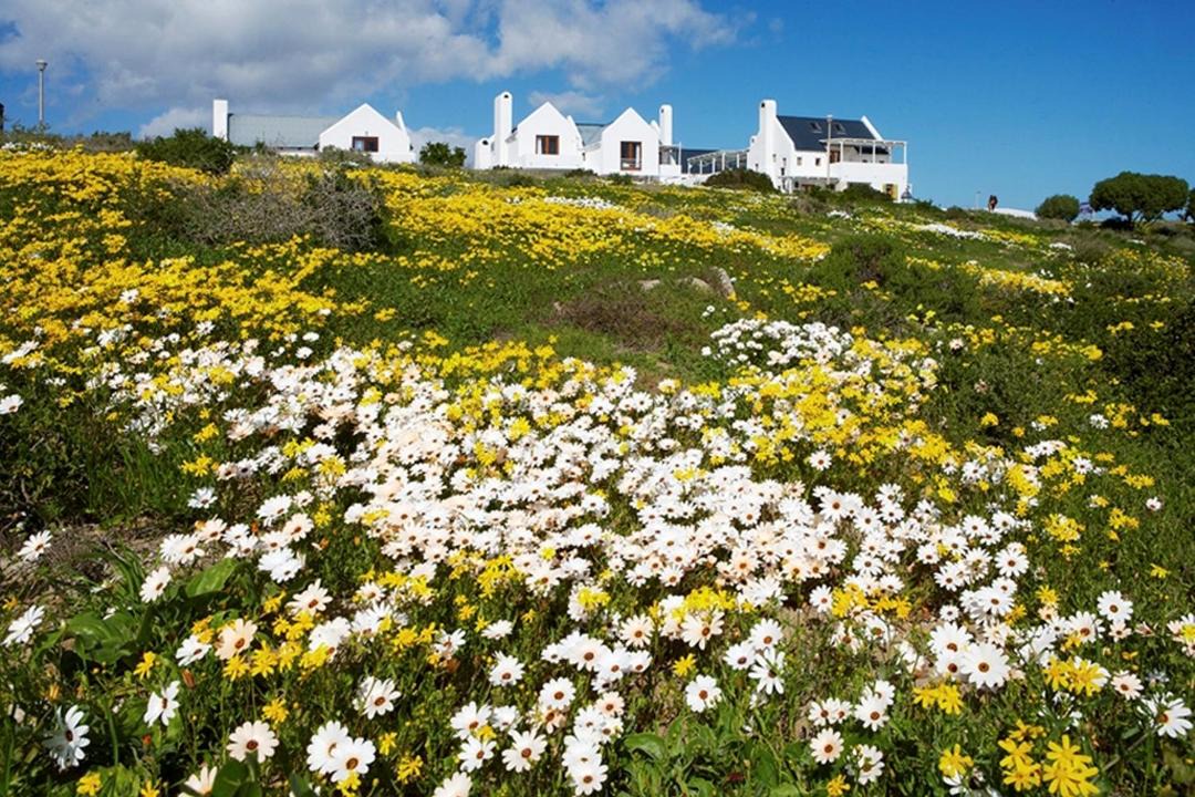 Photo of Others in Paternoster