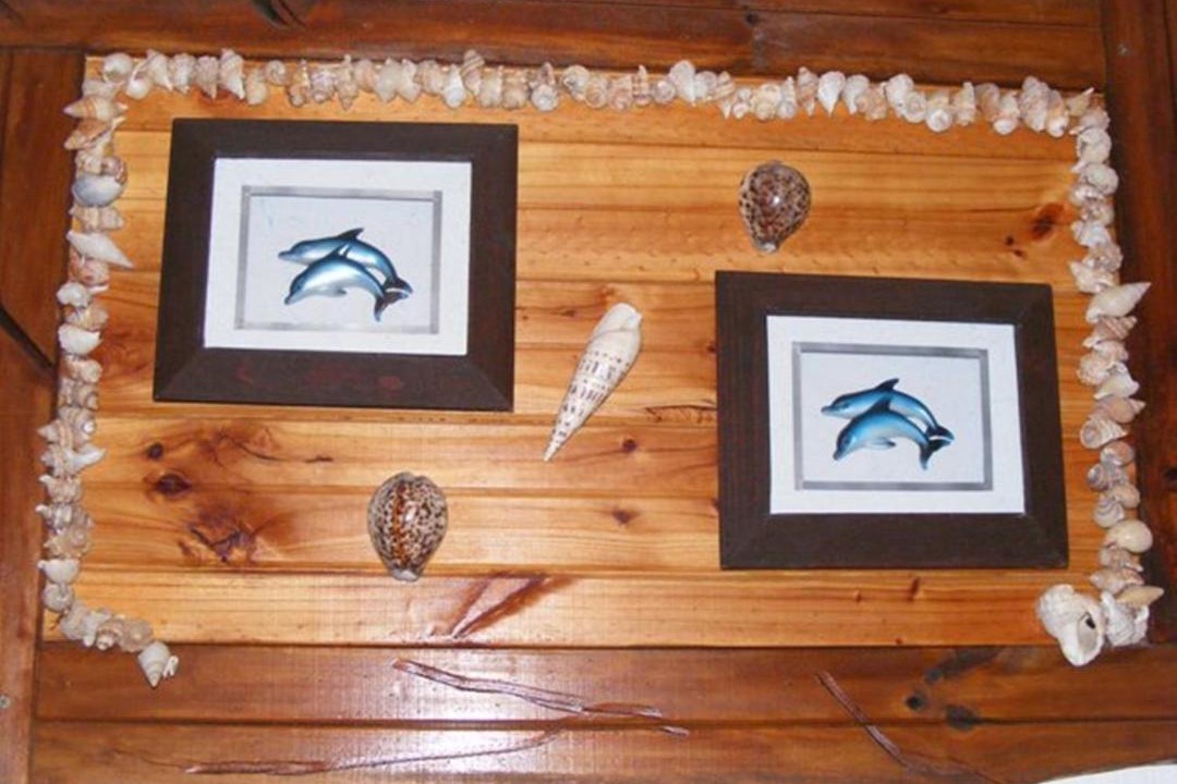 Photo of Others in Jeffreys Bay