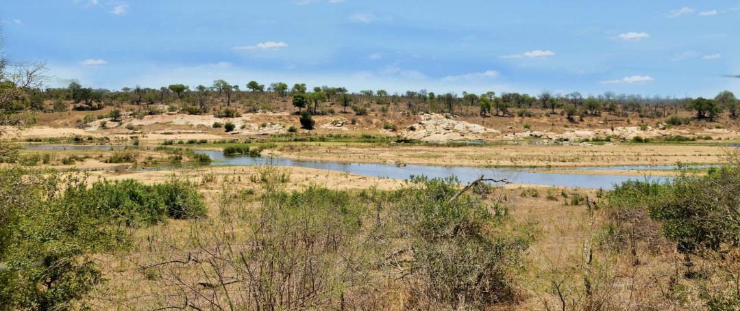 Photo of Others in Marloth Park