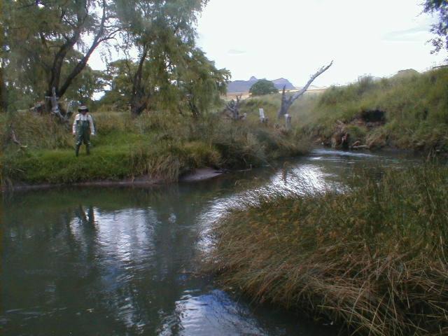 Photo of Others in Clarens