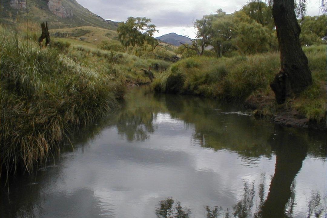 Photo of Others in Clarens