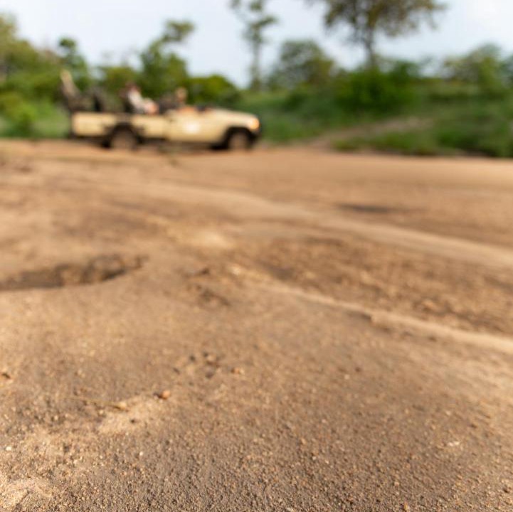Photo of Others in Kruger National Park