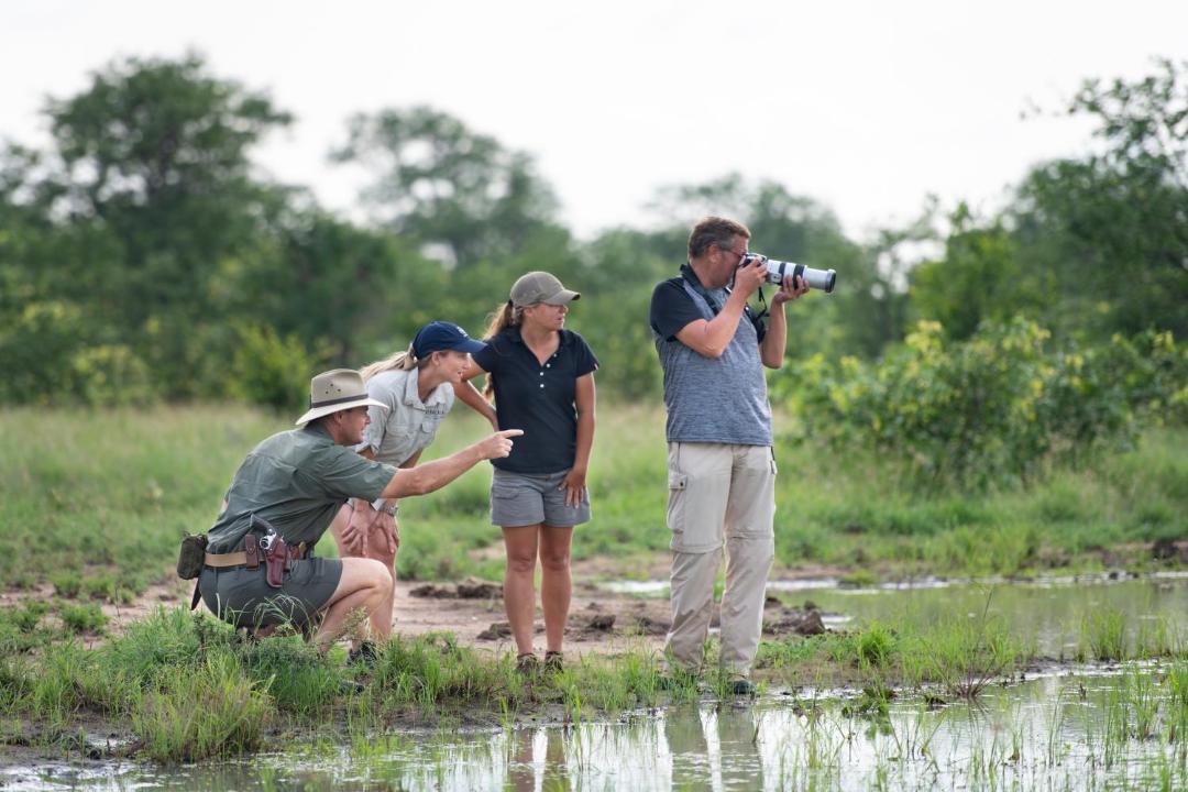 Photo of Others in Kruger National Park