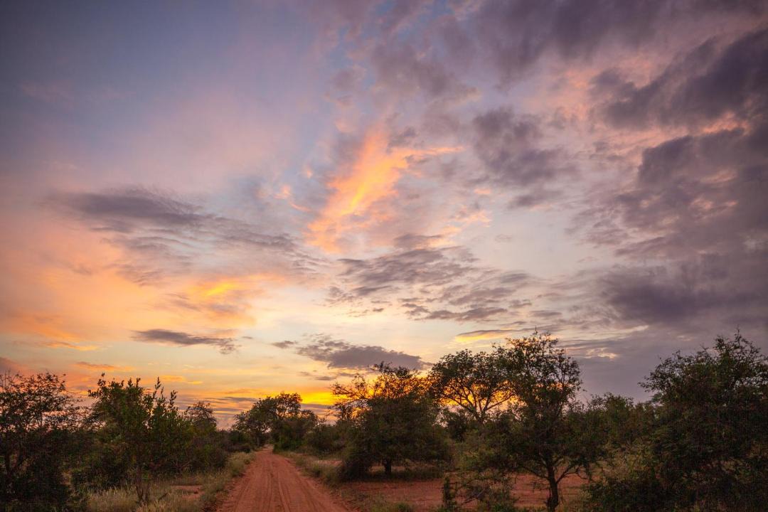 Photo of Others in Kruger National Park