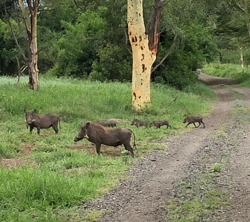 Photo of Others in Jozini