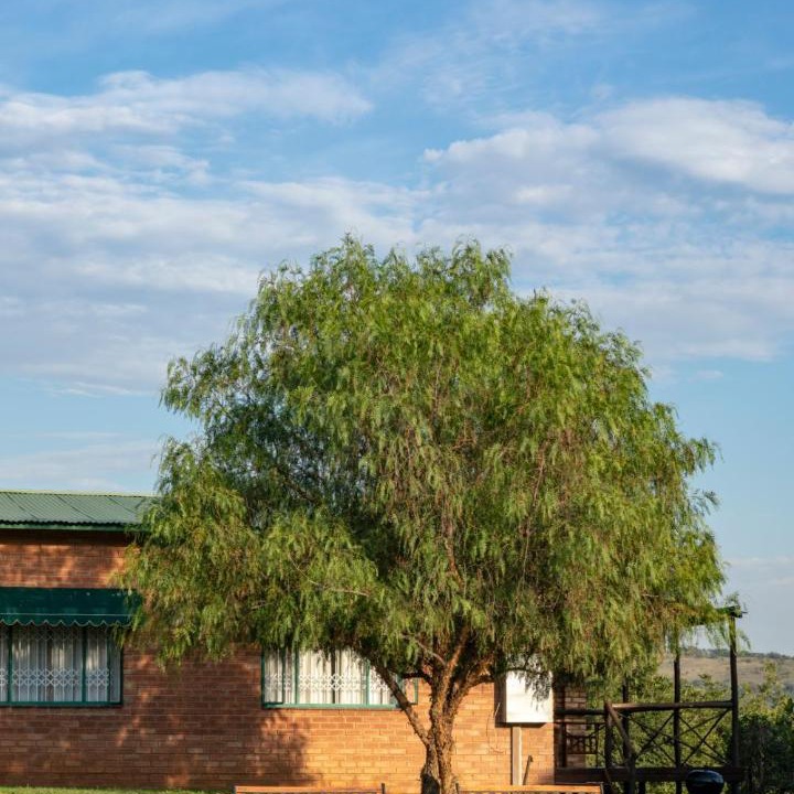 Photo of Others in Magaliesberg
