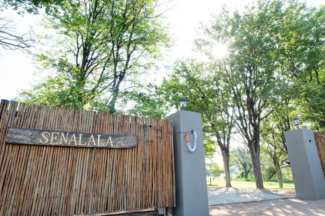 Photo of Others in Kruger National Park