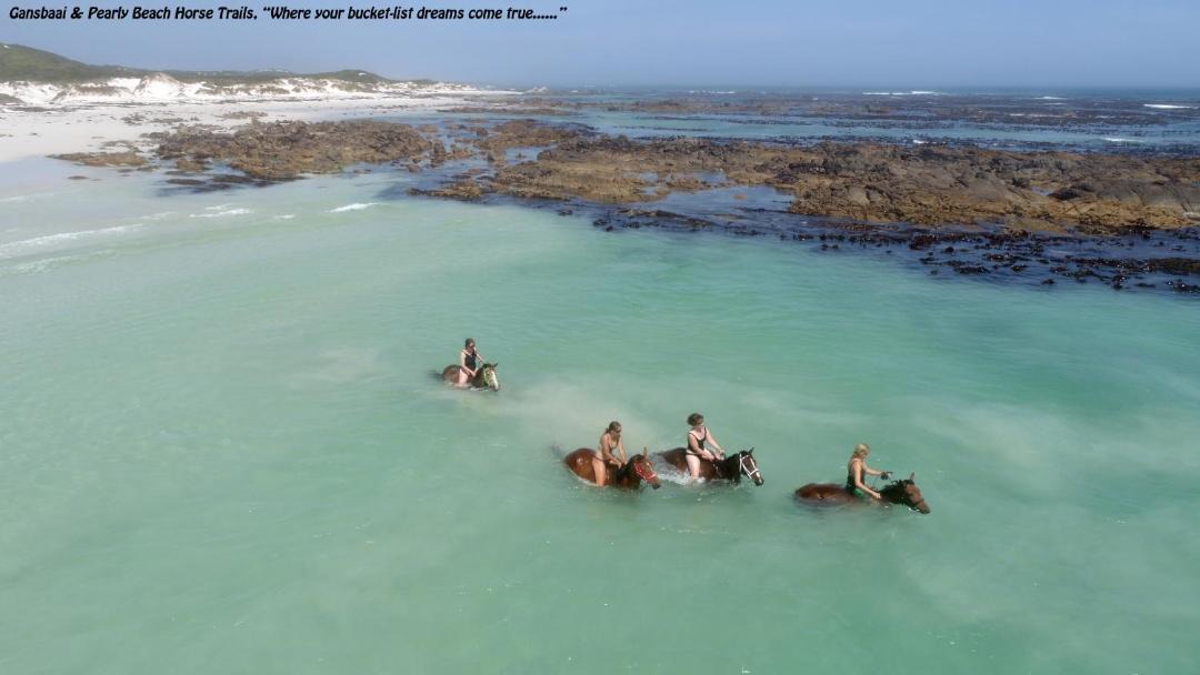 Photo of Others in Gansbaai
